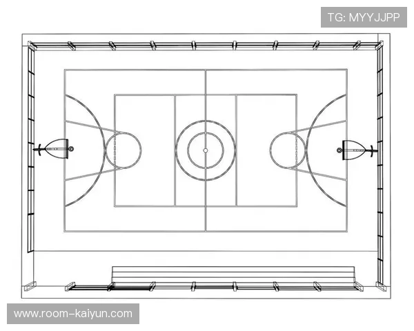 场馆升级全记录：从设计到投入使用