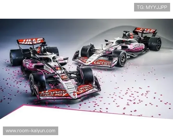 哈斯车队拉斯维加斯站双车积分，超越马丁升第七